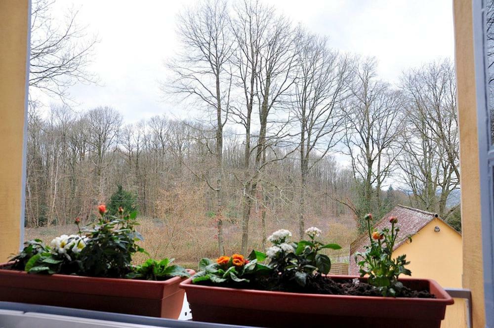 Bed and Breakfast Au Jardin De Lisa Cherreau Zewnętrze zdjęcie